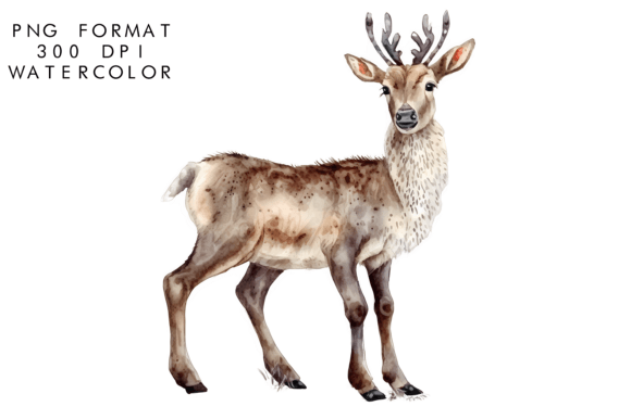 Download Watercolor Reindeer Clipart - Watercolor reindeer clipart Collection