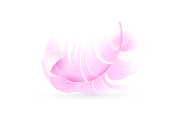 Download Pink Feather. Exotic Bird, Flamingo or P - Exotic bird Collection